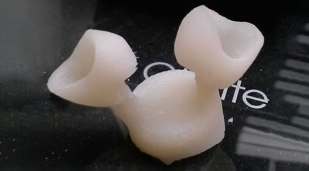 齿科实验室运用EnvisionTEC 3D打印，实现顾客群的有机增长